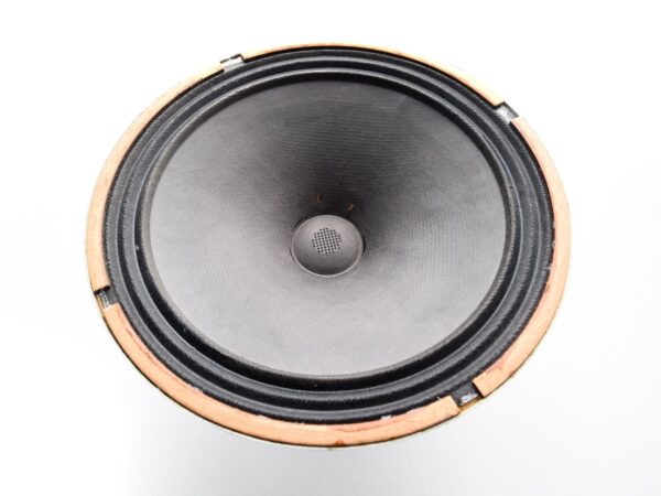 Coimbra Cones: Cones com Borda de Tecido, Borracha ou Espuma?